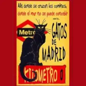 gatos de Madrid 🏳️‍🌈