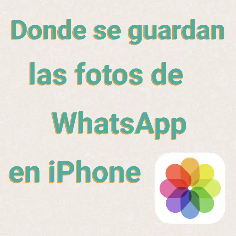 Donde Se Guardan Las Fotos De Whatsapp En Iphone 8912