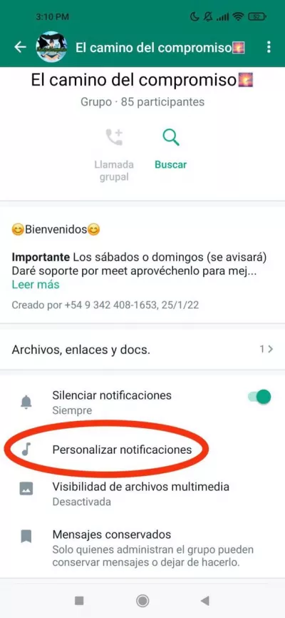Personalizar las notificaciones del grupo de WhatsApp