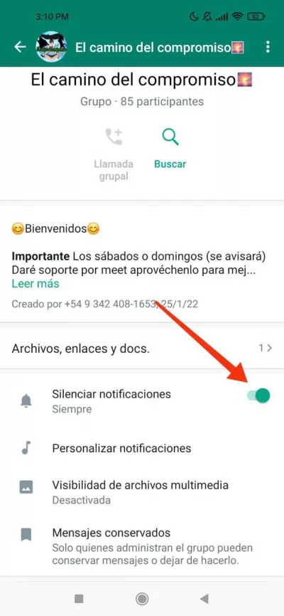 Silenciar notificaciones del grupo de WhatsApp