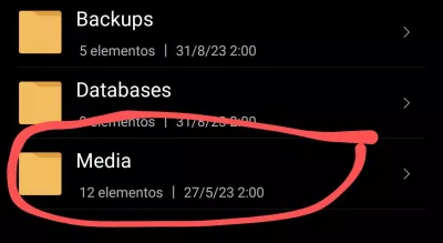 Cómo descargar y guardar estados de WhatsApp de otros usuarios Media