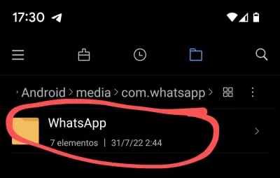 Cómo descargar y guardar estados de WhatsApp de otros usuarios WhatsApp