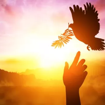 Meditación y Espiritualidad