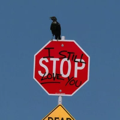 I can't go on, please forgive me.