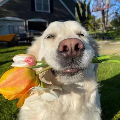 𝐋𝐎 𝐐𝐔𝐄 𝐄𝐋 𝐕𝐈𝐄𝐍𝐓𝐎 𝐓𝐑𝐀𝐉𝐎