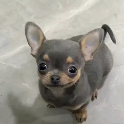 PUROS MOMAZOS🗣️🔥