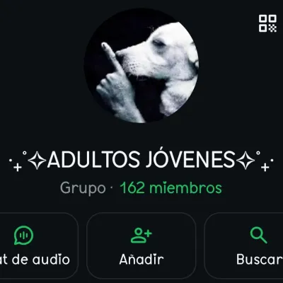 Adultos jóvenes