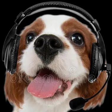 Videos Graciosos, Música y Stickers